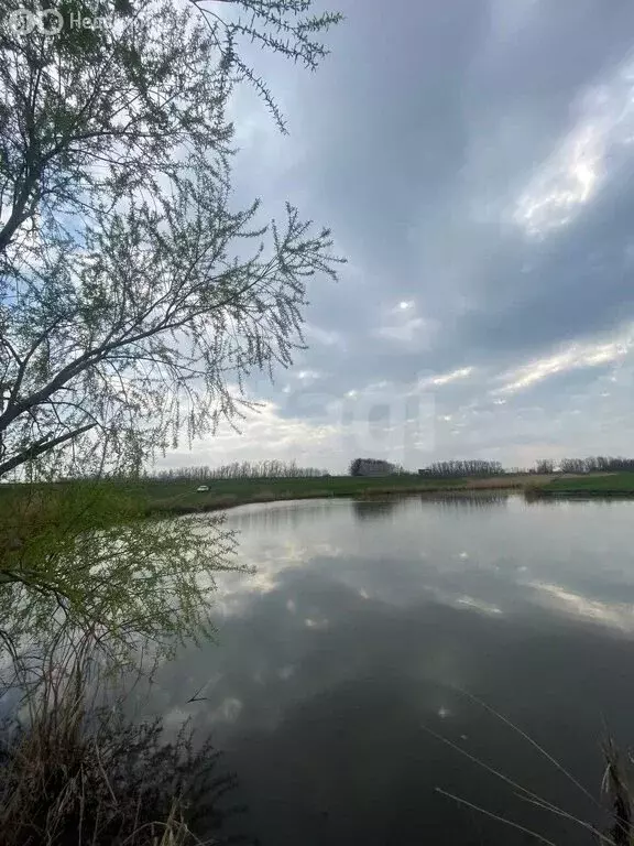 Участок в Большие Салы, Гранатовая улица (6 м) - Фото 1