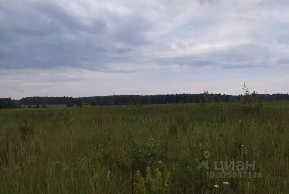 Участок в Московская область, Дмитровский муниципальный округ, д. ... - Фото 1