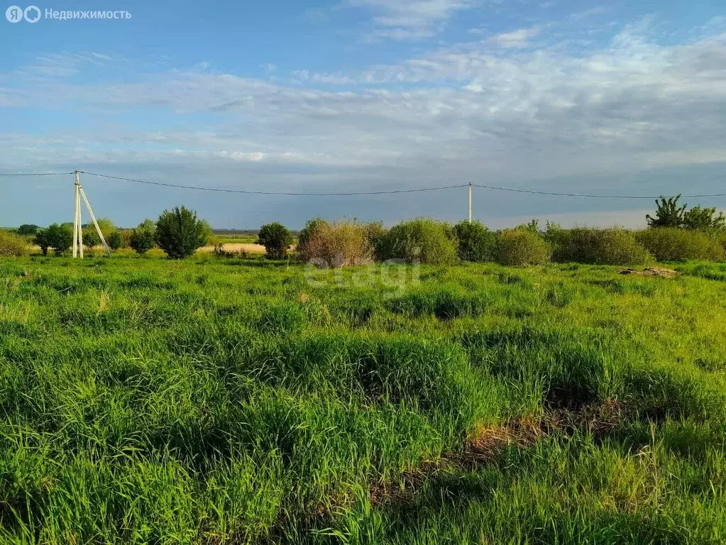 Участок в село Новое Барятино, Парковая улица (10 м) - Фото 0