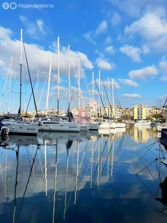 Квартира-студия: Севастополь, улица Адмирала Фадеева, 18 (31.5 м) - Фото 0