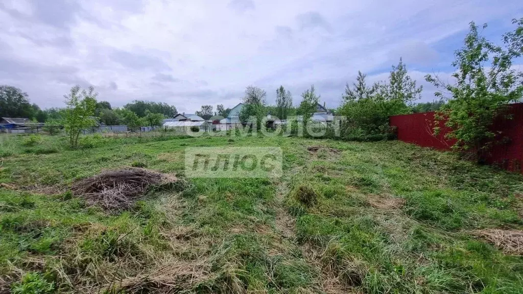 Участок в Нижегородская область, Бор муниципальный округ, д. Боярское  ... - Фото 2