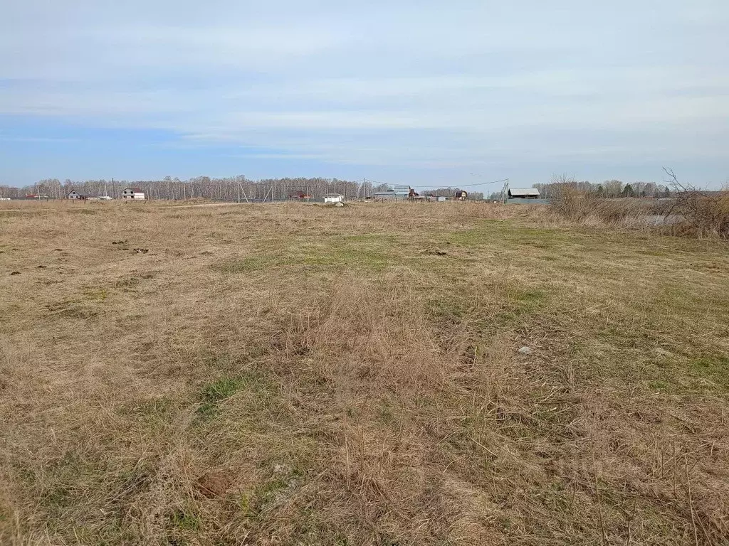 Участок в Челябинская область, Сосновский район, Долгодеревенское ... - Фото 1