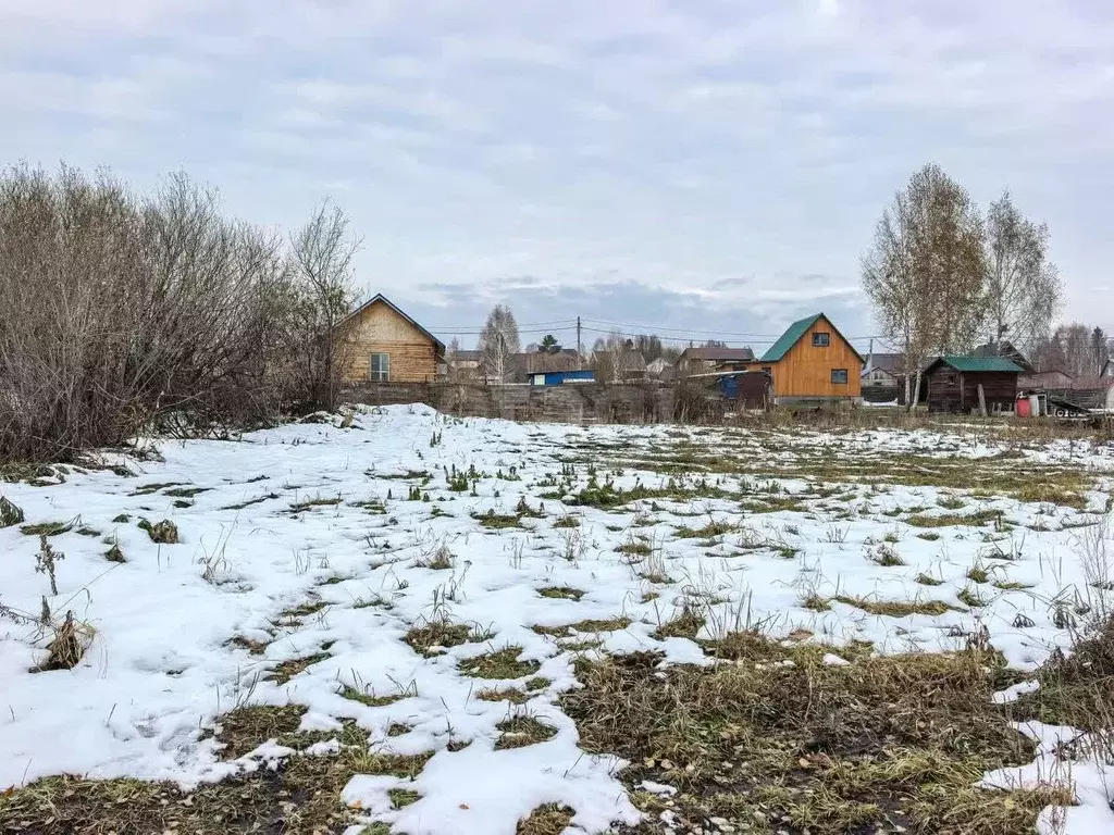 Участок в Новосибирская область, Новосибирский район, Каменский ... - Фото 2