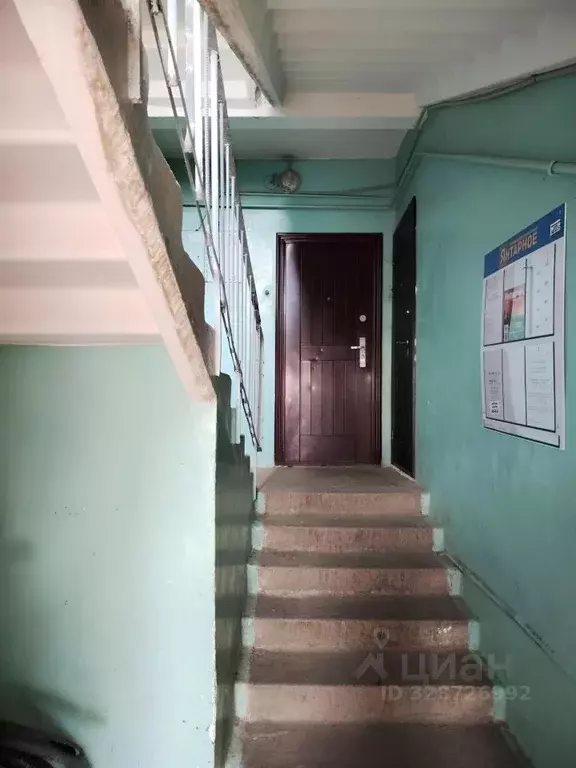 2-к кв. Санкт-Петербург пос. Парголово, ул. Первого Мая, 79 (44.8 м) - Фото 2