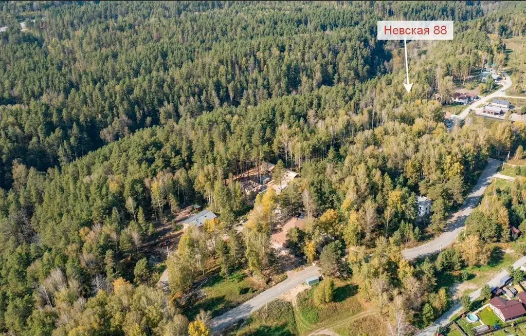 Участок в Новосибирская область, Новосибирский район, Барышевский ... - Фото 1