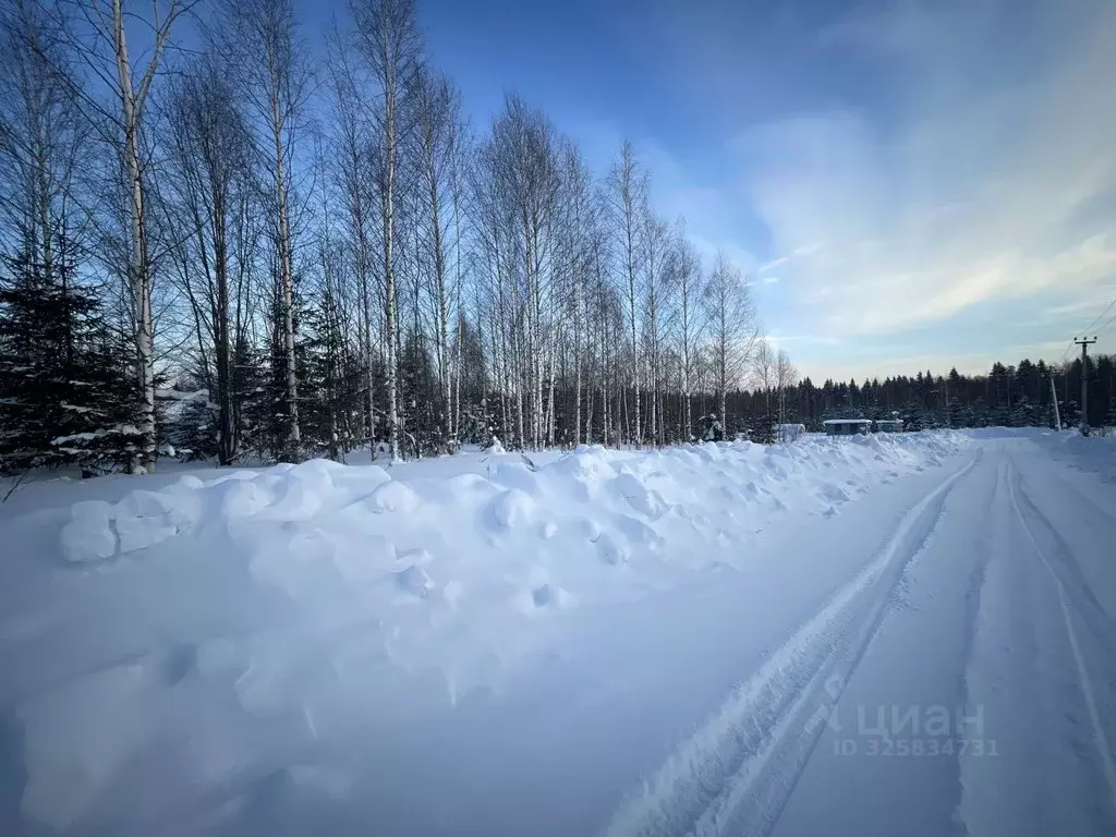 Участок в Пермский край, Добрянский муниципальный округ, д. Бобки ул. ... - Фото 2