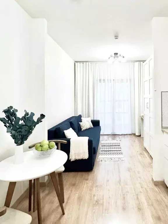 Студия Санкт-Петербург просп. Малый Васильевского острова, 52 (23.9 м) - Фото 1