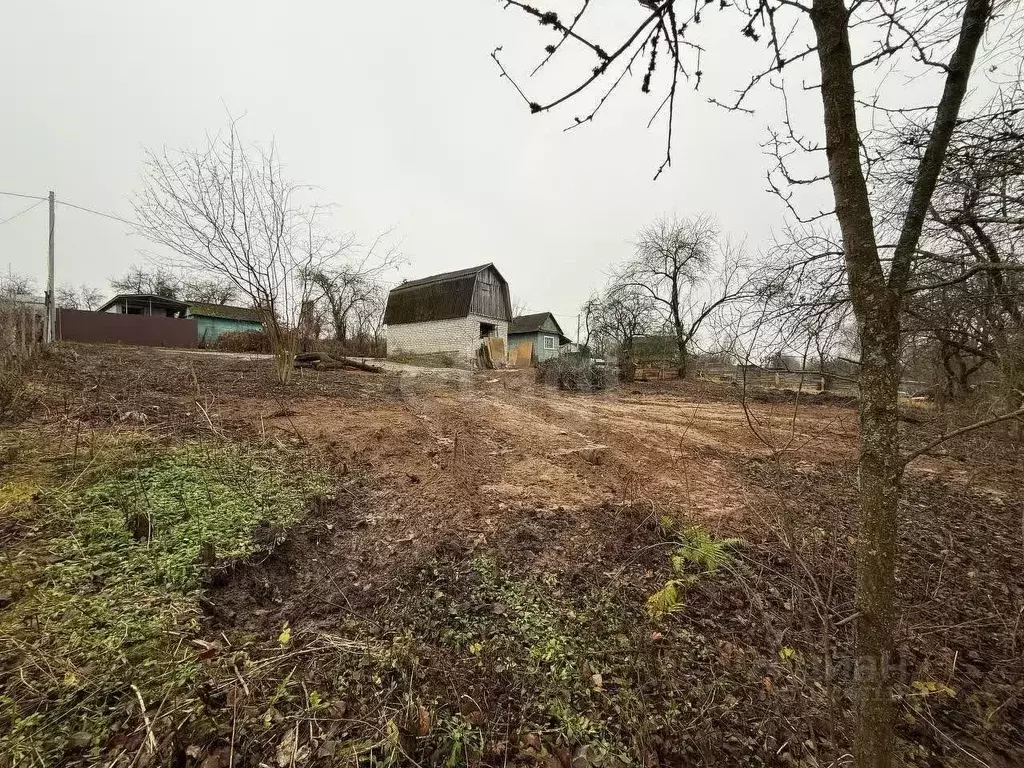 Участок в Брянская область, Брянск Юпитер садовое общество,  (4.28 ... - Фото 2