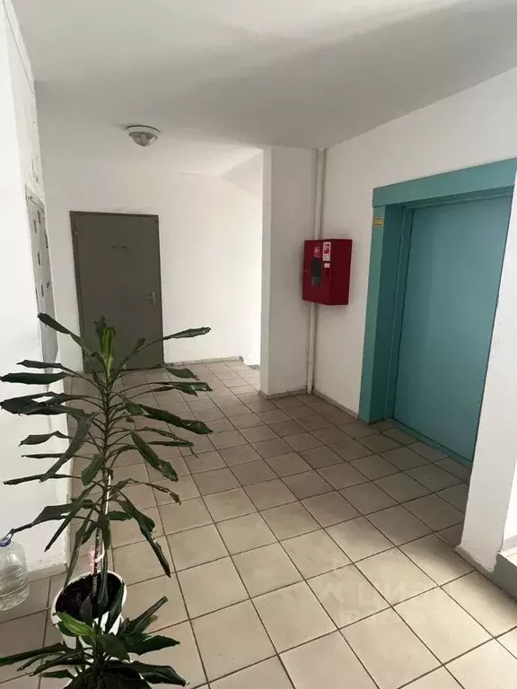 1-к кв. Краснодарский край, Анапа ул. Омелькова, 21 (49.0 м) - Фото 2