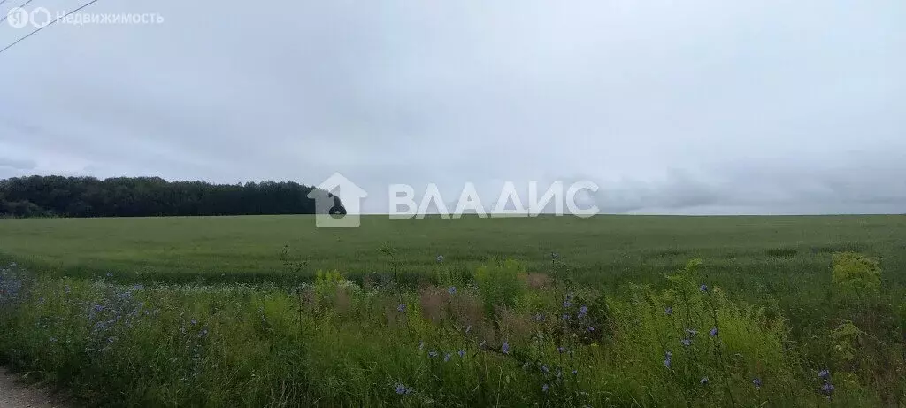 Участок в городской округ Владимир, деревня Аббакумово, Новая улица ... - Фото 0