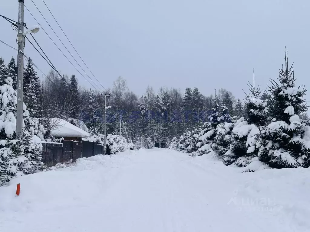 Участок в Ярославская область, Переславль-Залесский муниципальный ... - Фото 1