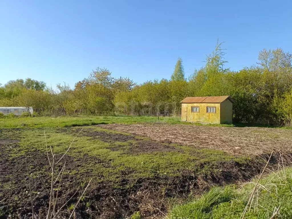 Участок в Брянская область, Брянский район, Снежское с/пос, с. ... - Фото 2