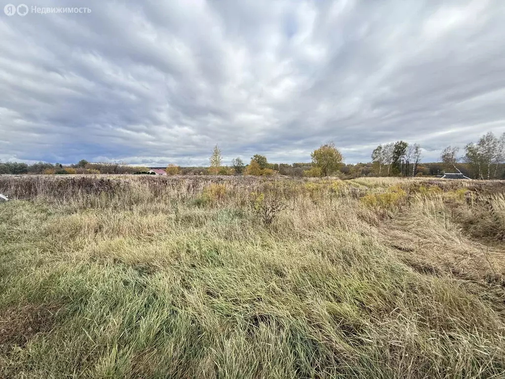 Участок в Севрюково, Луговая улица (29.15 м) - Фото 1