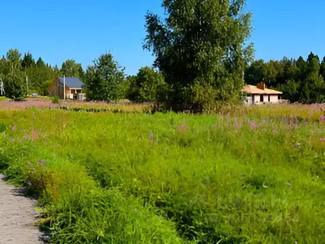 Участок в Московская область, Дмитровский городской округ, пос. Новое ... - Фото 0