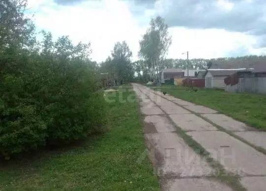 Дом в Брянская область, Погарский район, с. Кистер Квартальная ул. (71 ... - Фото 2