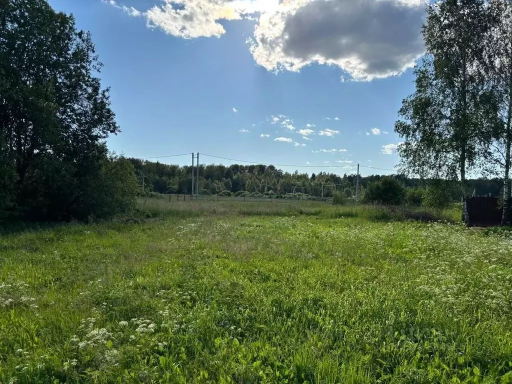 Участок в Московская область, Щелково городской округ, д. Маврино ул. ... - Фото 2