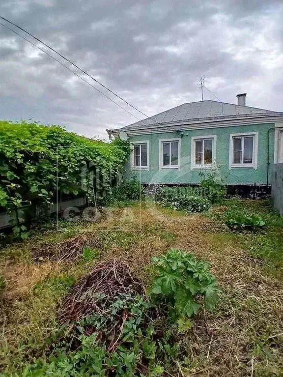 Дом в Воронежская область, с. Новая Усмань ул. Алексеевского (87 м) - Фото 1