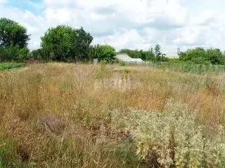 Участок в Белгородская область, Старооскольский городской округ, с. ... - Фото 1