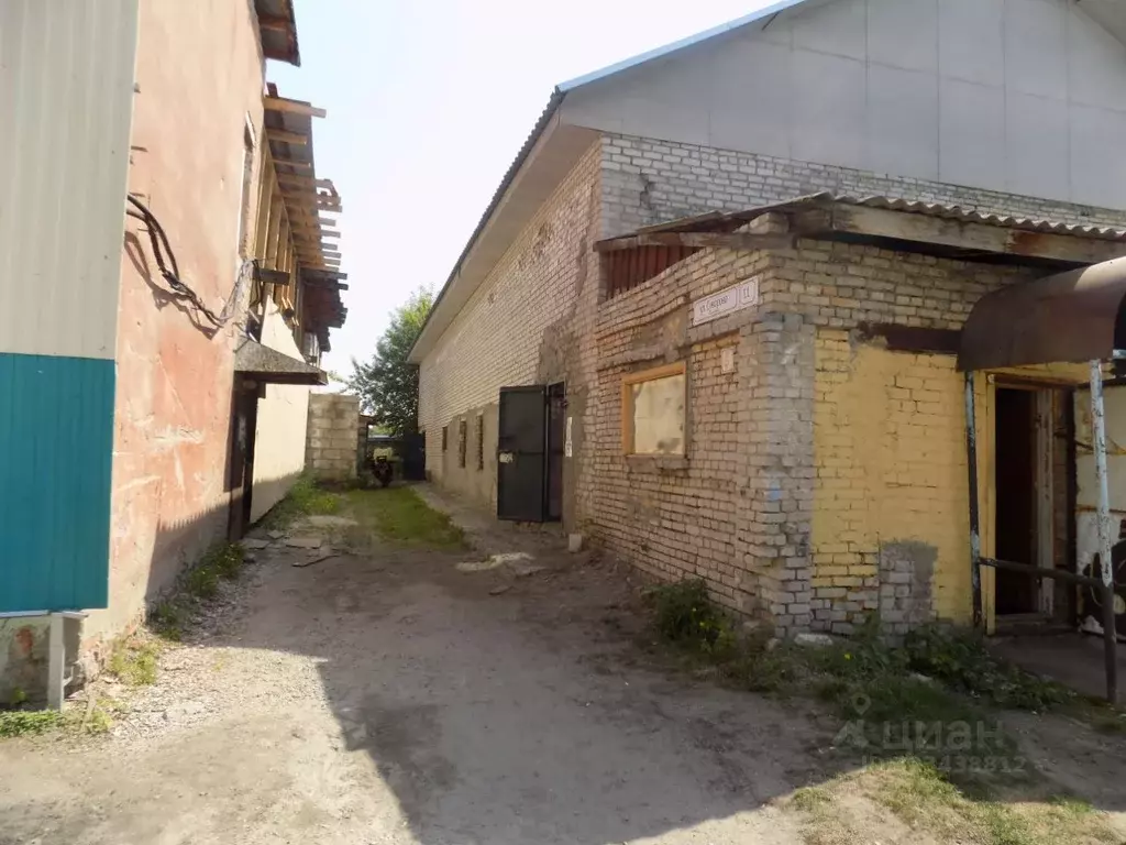 Помещение свободного назначения в Алтайский край, Барнаул ... - Фото 1