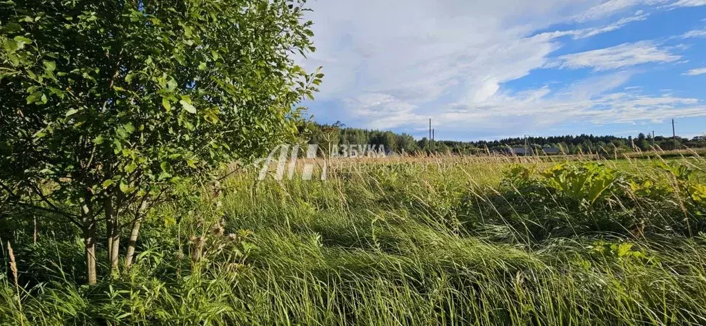 Участок в Московская область, Рузский городской округ, д. Мытники ул. ... - Фото 1