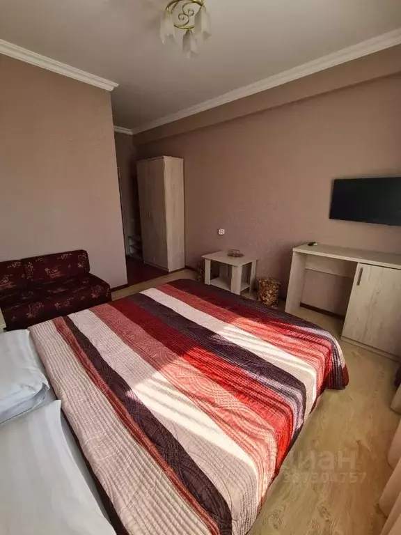 Студия Краснодарский край, Сочи Адлер жилрайон, ул. Чкалова (25.0 м) - Фото 2