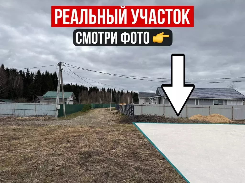 Участок в Московская область, Можайский муниципальный округ, Форест ... - Фото 0