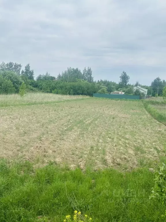 Участок в Московская область, Коломна городской округ, д. Тимирево  ... - Фото 1