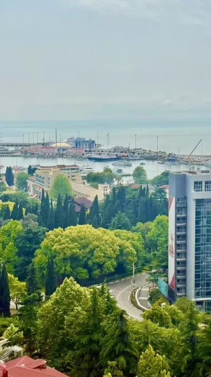 3-к кв. Краснодарский край, Сочи Центральный мкр, ул. Войкова, 34 ... - Фото 2