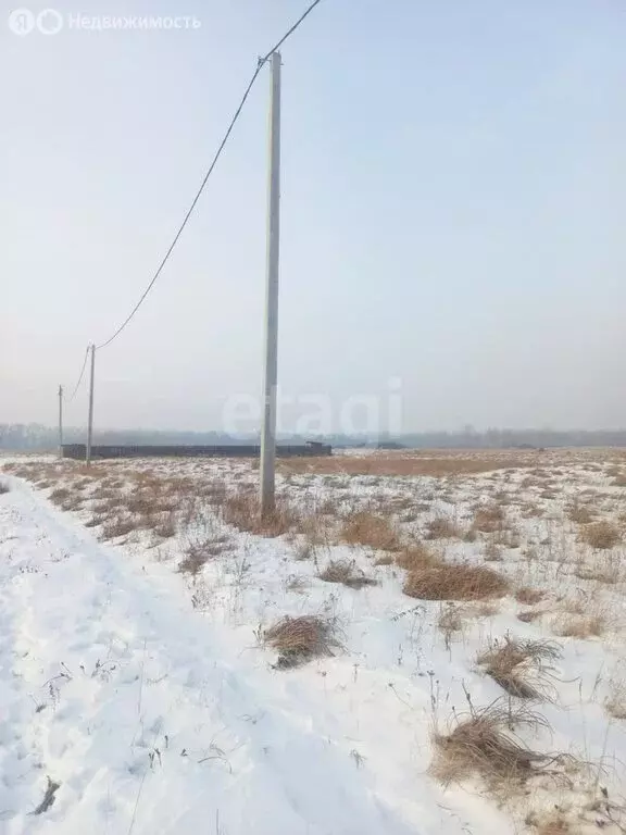 Участок в деревня Кайбалы, улица Чистых Рос (12 м) - Фото 0