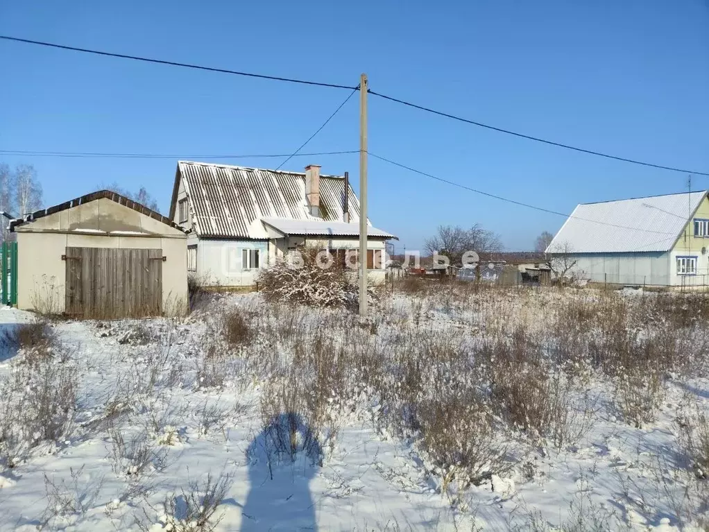 Дом в Рязанская область, Шиловский район, Инякинское с/пос, с. Боровое ... - Фото 2