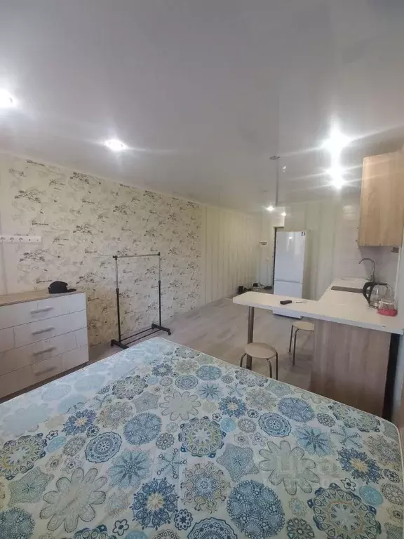 Студия Саратовская область, Саратов проезд 1-й Аэродромный, 2 (22.9 м) - Фото 2