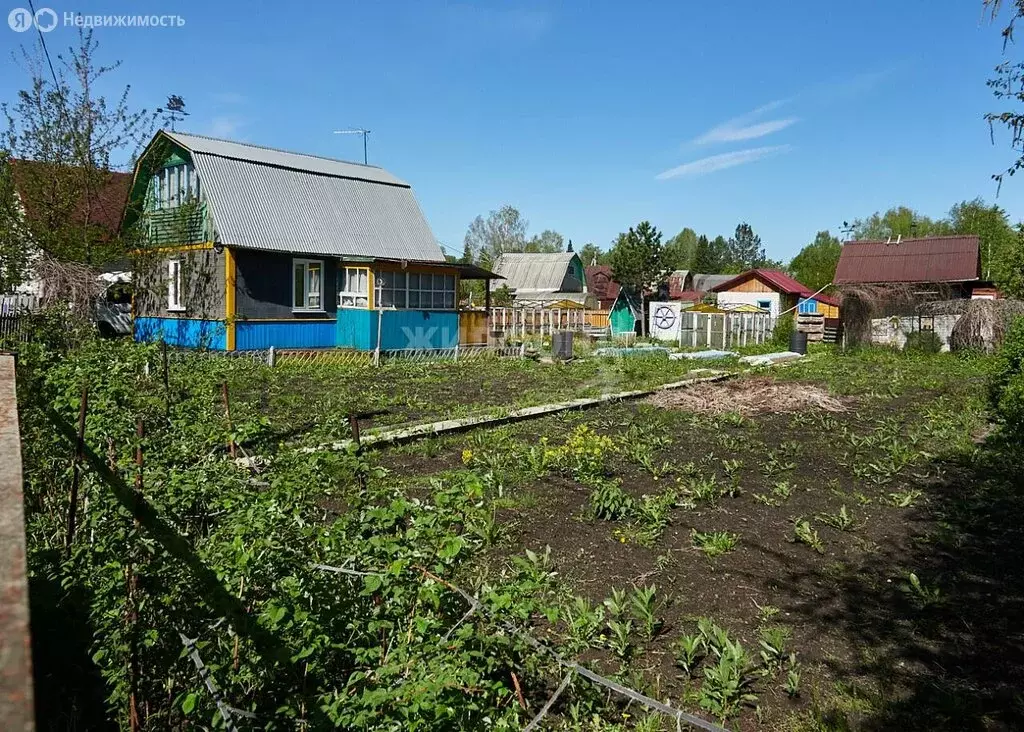 Участок в Новосибирск, садовое товарищество Золотая Горка, 1-я аллея ... - Фото 1