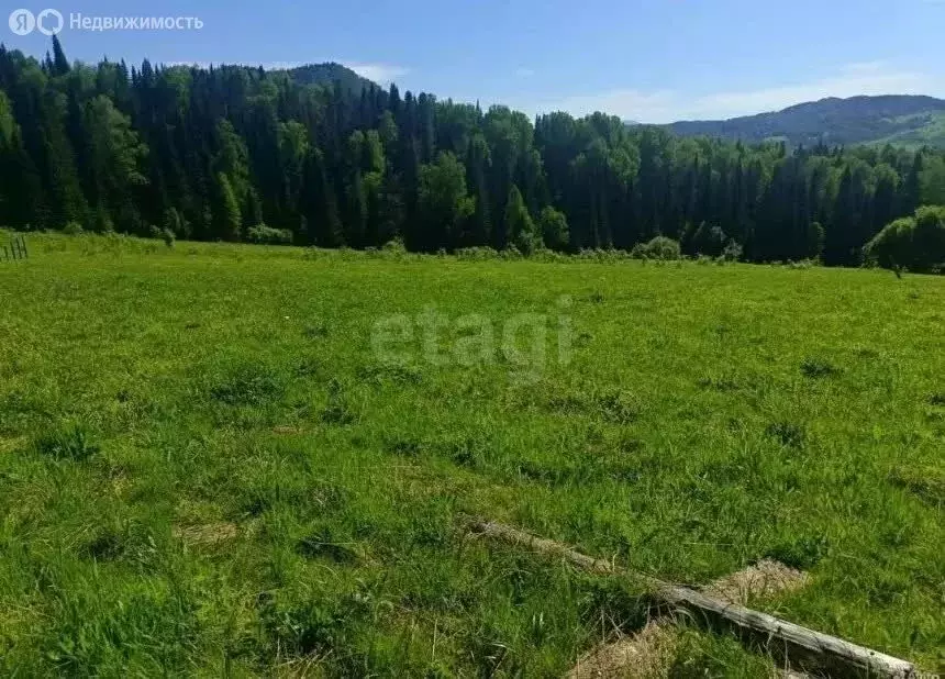 Участок в село Чоя, Зимний переулок (20 м) - Фото 2