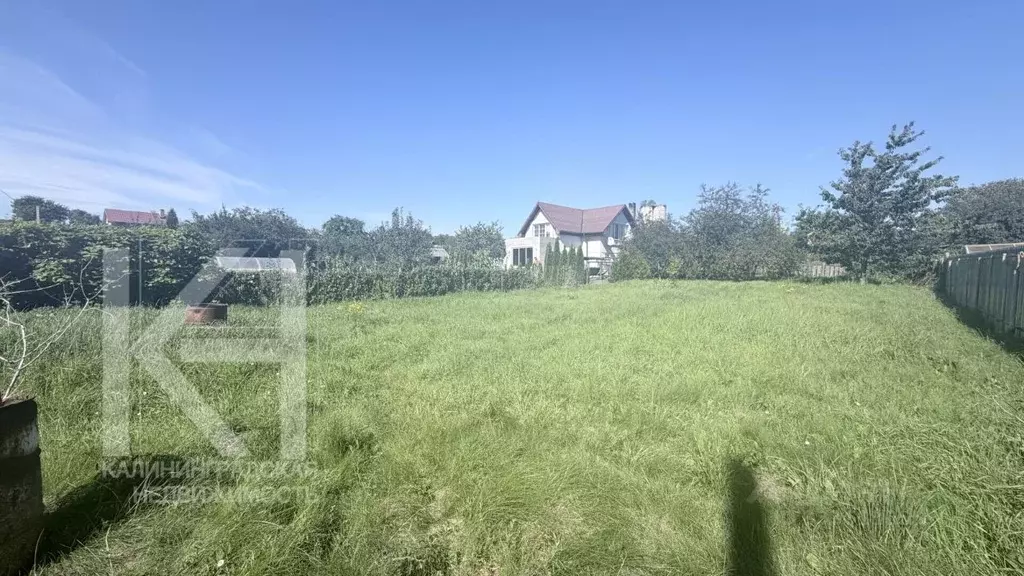 Участок в Калининградская область, Янтарный пгт, Садовник СНТ ул. ... - Фото 1