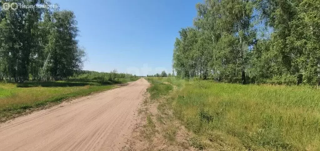 Участок в Омский район, село Усть-Заостровка (10.64 м) - Фото 0
