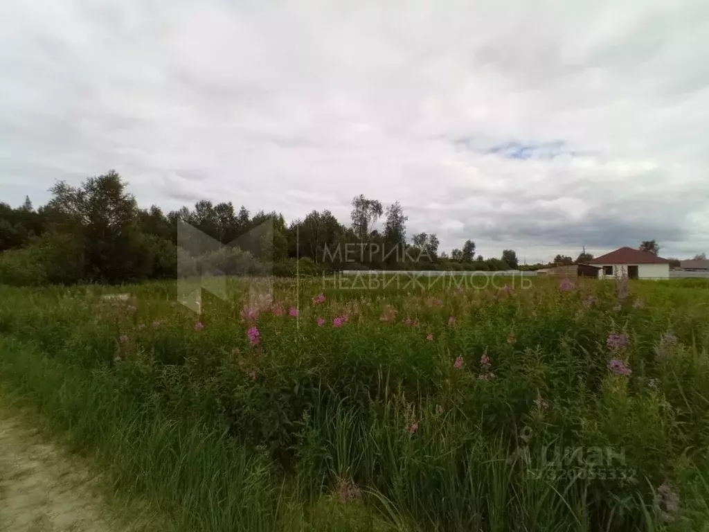 Участок в Тюменская область, Нижнетавдинский район, Строитель ТСН 932 ... - Фото 1
