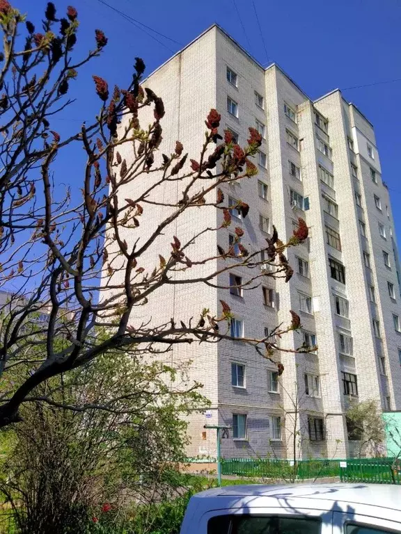 2-к кв. Курская область, Курск ул. Черняховского, 24 (50.6 м) - Фото 1