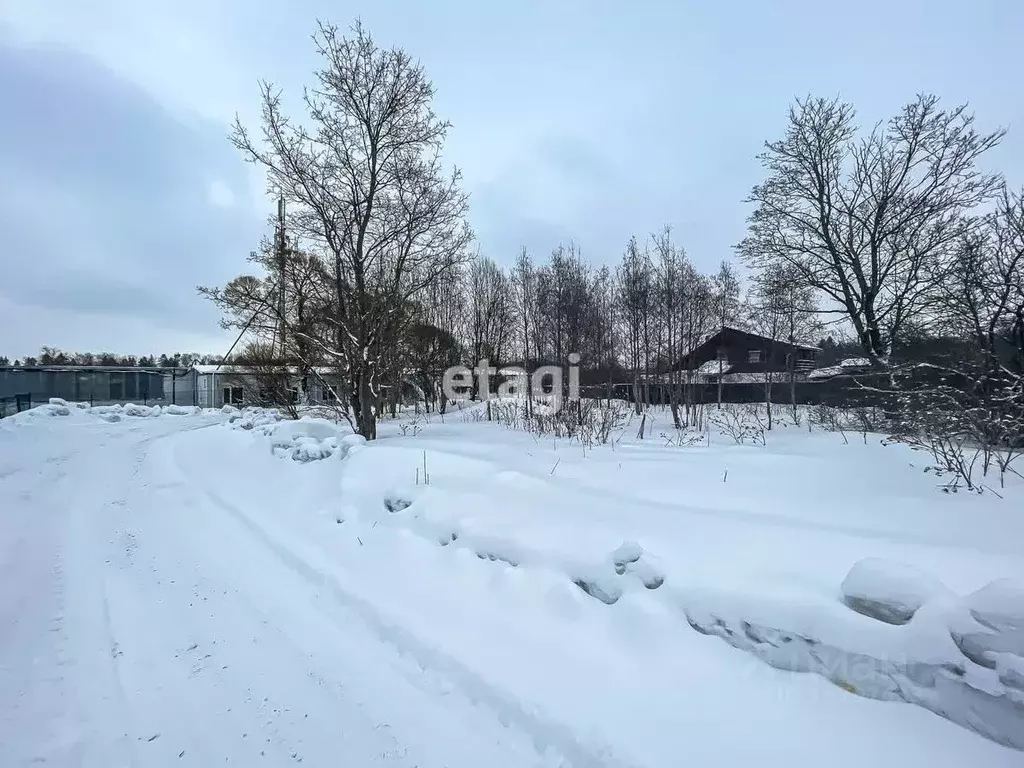 Участок в Ленинградская область, Ломоносовский район, Ропшинское ... - Фото 1