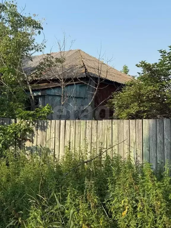 Участок в Воронежская область, Хохольский район, с. Кочетовка ... - Фото 0