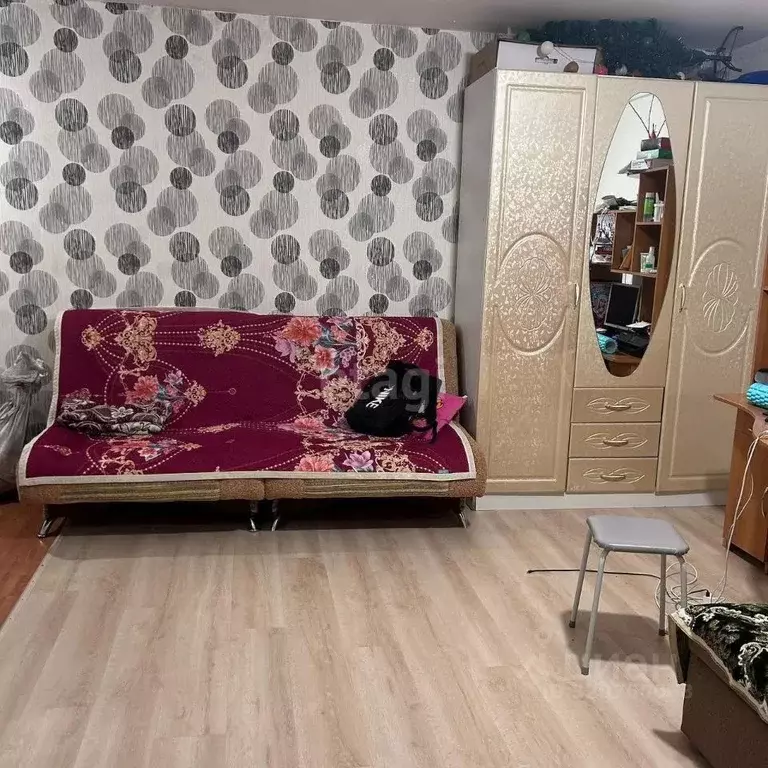 Студия Алтай, Майминский район, с. Майма ул. Гидростроителей (28.0 м) - Фото 1