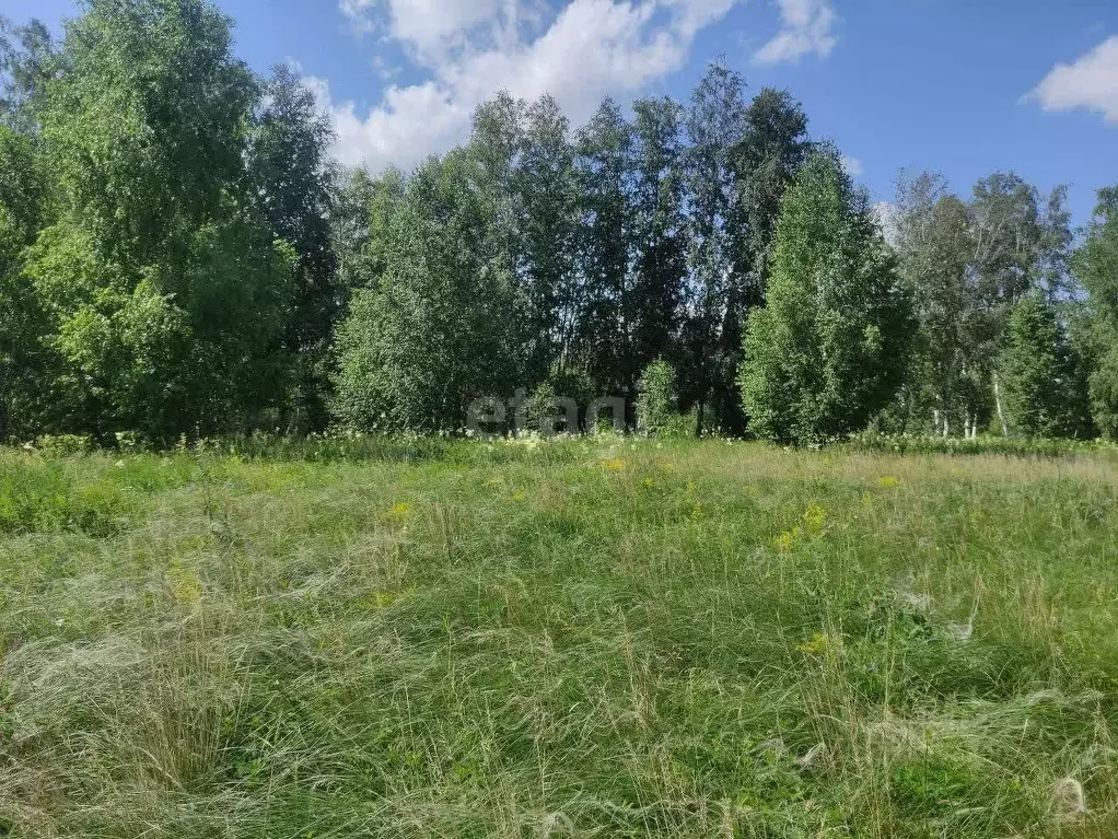 Участок в Челябинская область, Аргаяшский район, д. Акбашева  (14.0 ... - Фото 1