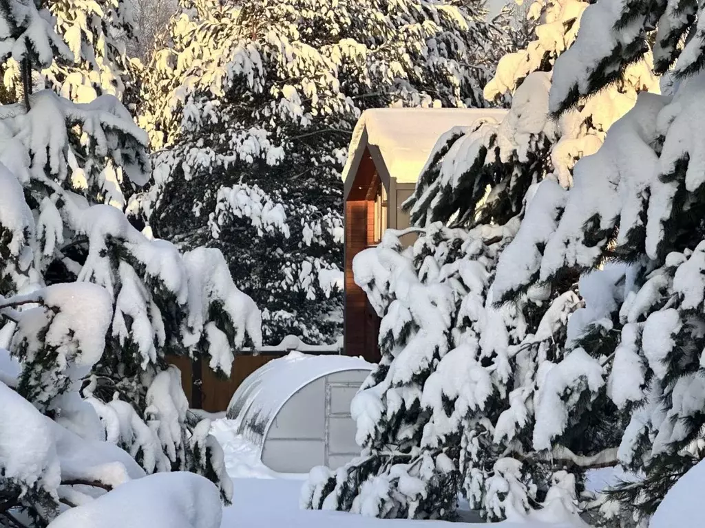 Участок в Тульская область, Заокский район, Страховское с/пос, д. ... - Фото 2