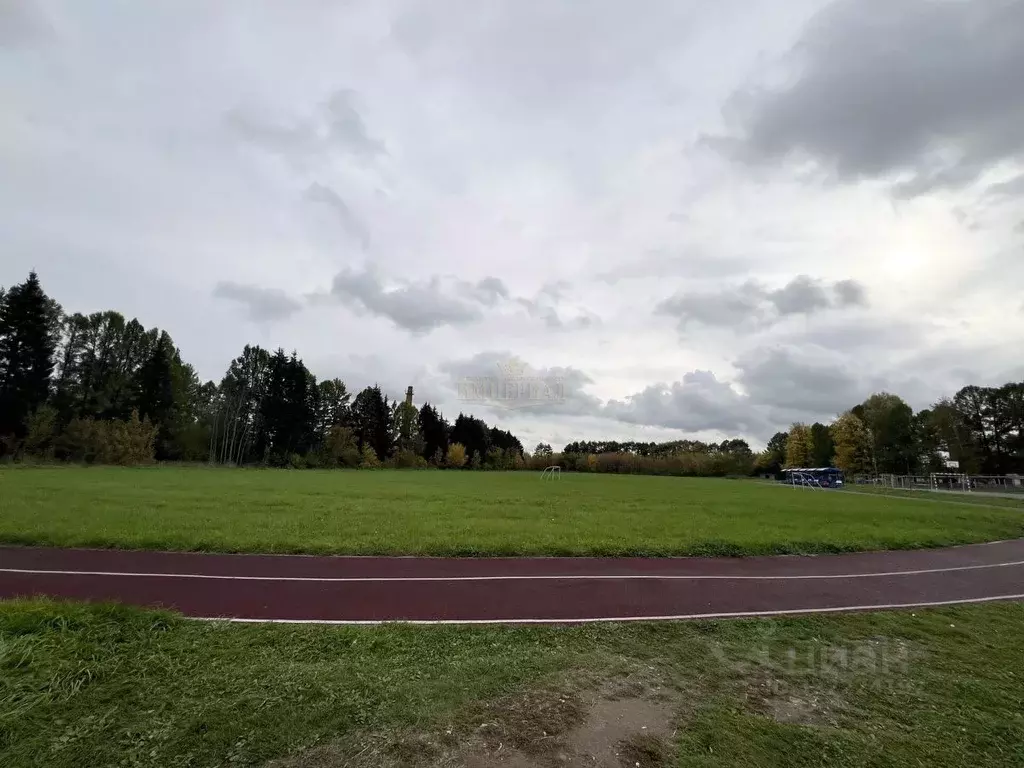 1-к кв. Марий Эл, Медведевский район, Азановское с/пос, с. Азаново ул. ... - Фото 1