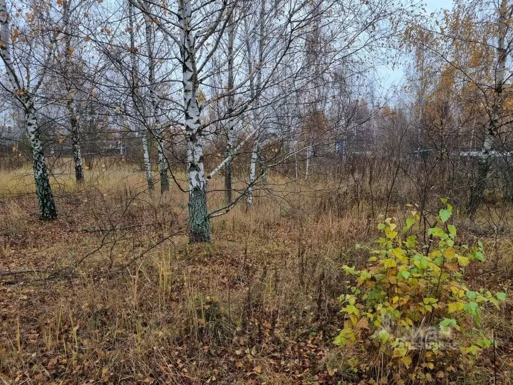 Участок в Московская область, Наро-Фоминский городской округ, Внуково ... - Фото 1