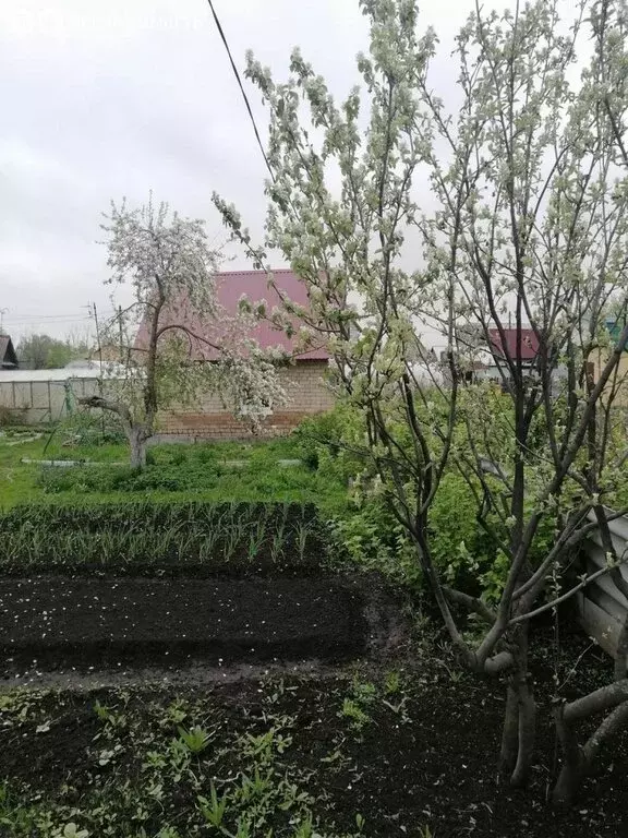 Дом в Челябинская область, Чебаркуль (20 м) - Фото 1