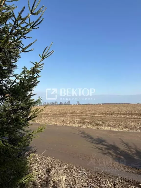 Участок в Костромская область, Костромской район, Шунгенское с/пос, д. ... - Фото 1