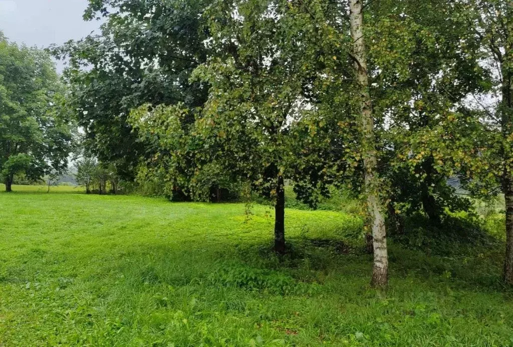 Участок в Московская область, Чехов  (12.49 сот.) - Фото 1