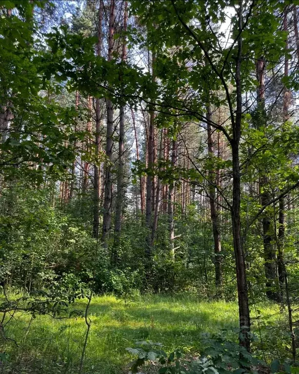 Участок в Смоленская область, Смоленск ул. 1-я Дачная, 12 (17.0 сот.) - Фото 2
