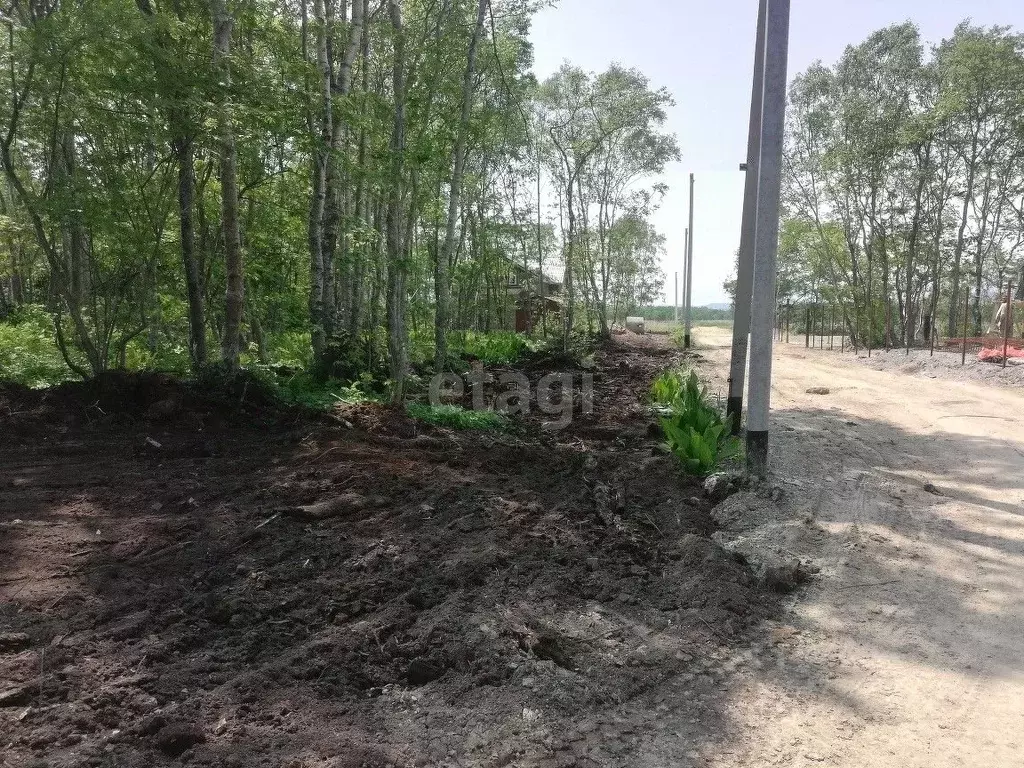 Участок в Сахалинская область, Анивский городской округ, с. Троицкое ... - Фото 2