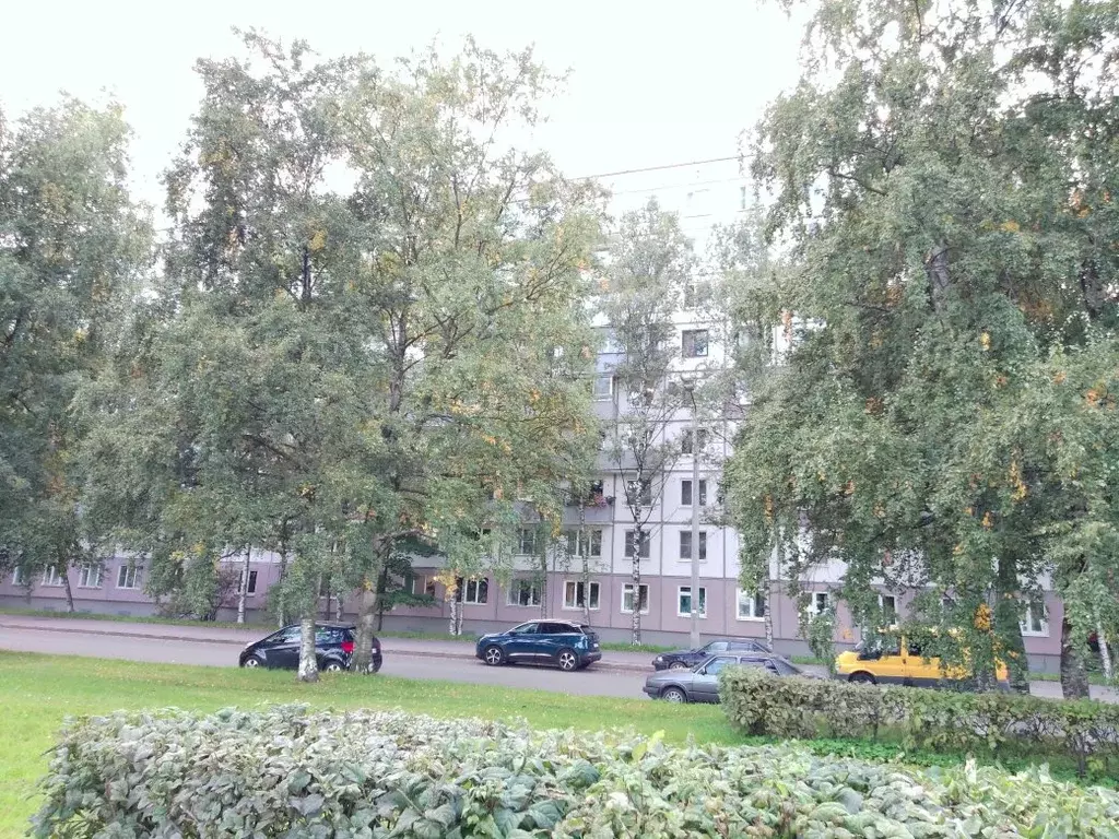 2-к кв. Санкт-Петербург просп. Энергетиков, 54К1 (49.2 м) - Фото 1